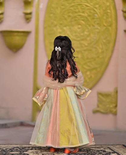 Myra Pastel Garden Lehenga